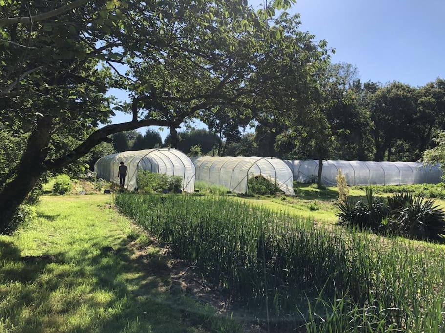 La Terre Ferme - Au Coeur D'Une Ferme Maraichere Saint-Lunaire Bagian luar foto